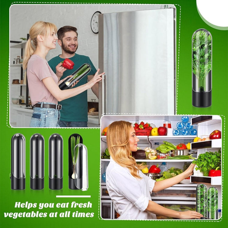 Herb Crisper Vegetable Keep Fresh Container Cilantro Herb Storage Container(Black)