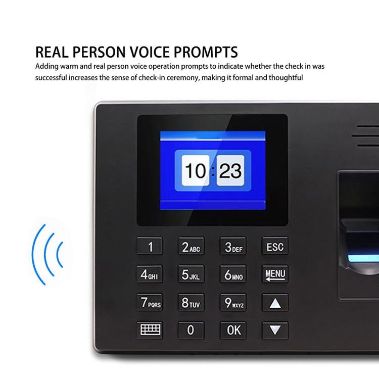 Fingerprint Recognition Voice Broadcast Smart Report Generation Attendance Machine, Model: Gold US Plug