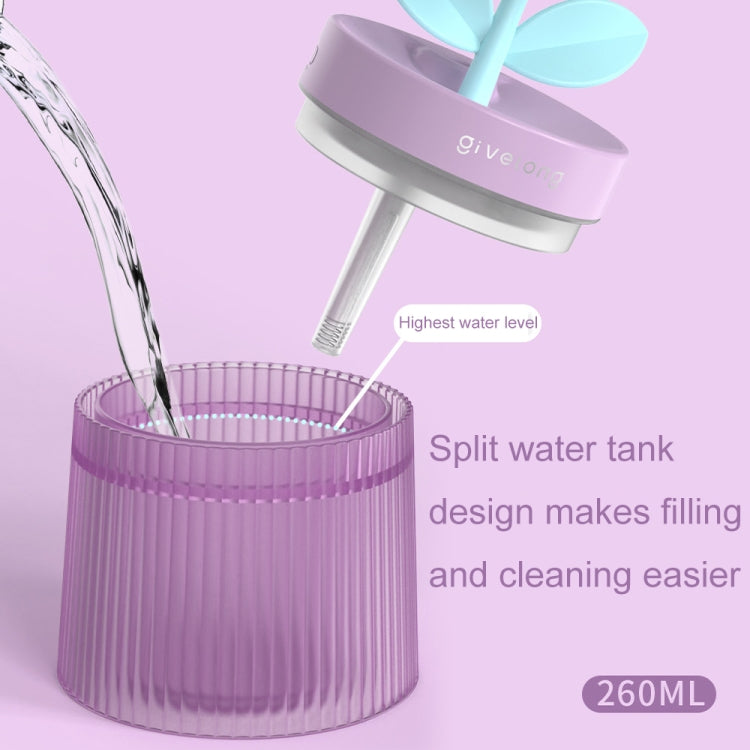 Flower Spray Hhydrating Colorful Atmosphere Light USB Aromatherapy Humidifier, Color: Gardenia Green