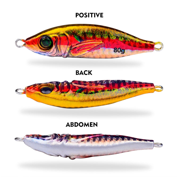 PROBEROS  LF136 Fishing Lure 3D Spray Painted Imitation Bait Long Casting Freshwater Fishing Warbler Bass Leader Lure, Size: 60g(Color E)