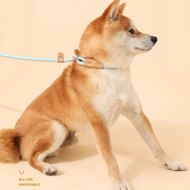 1.8m x 1cm Dog Traction Rope Mid Large Dog Universal Safety Buckle Chain Circle(Black)