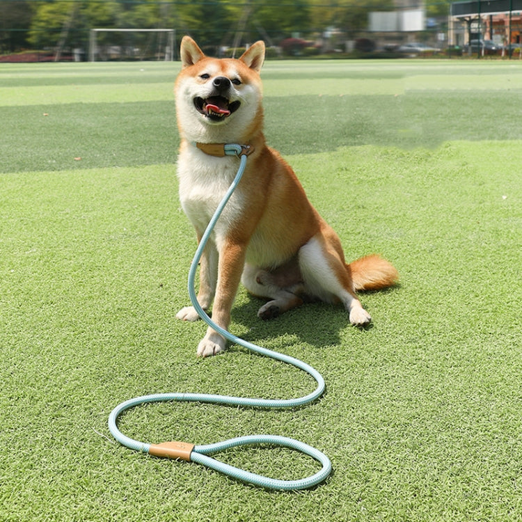 1.5m x 0.6cm Dog Traction Rope Mid Large Dog Universal Safety Buckle Chain Circle(Brown)