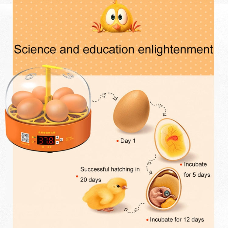 6-Eggs Small Household Experimental Children Smart Chicken Incubators, Spec: Manual AU Plug