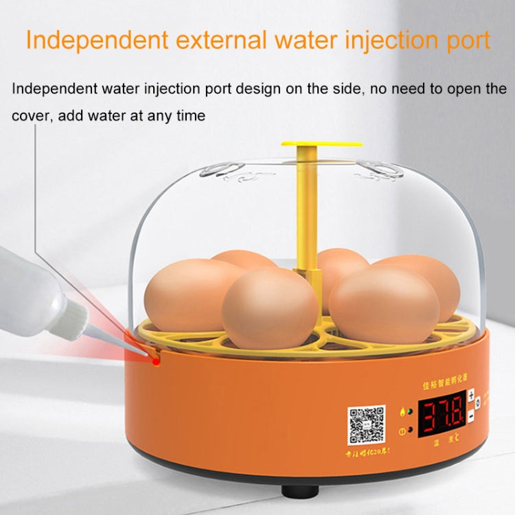 6-Eggs Small Household Experimental Children Smart Chicken Incubators, Spec: Dual-electric Automatic US Plug