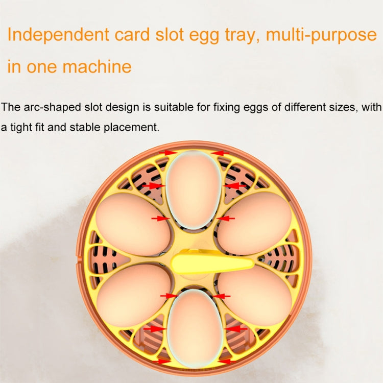6-Eggs Small Household Experimental Children Smart Chicken Incubators, Spec: Dual-electric Automatic AU Plug