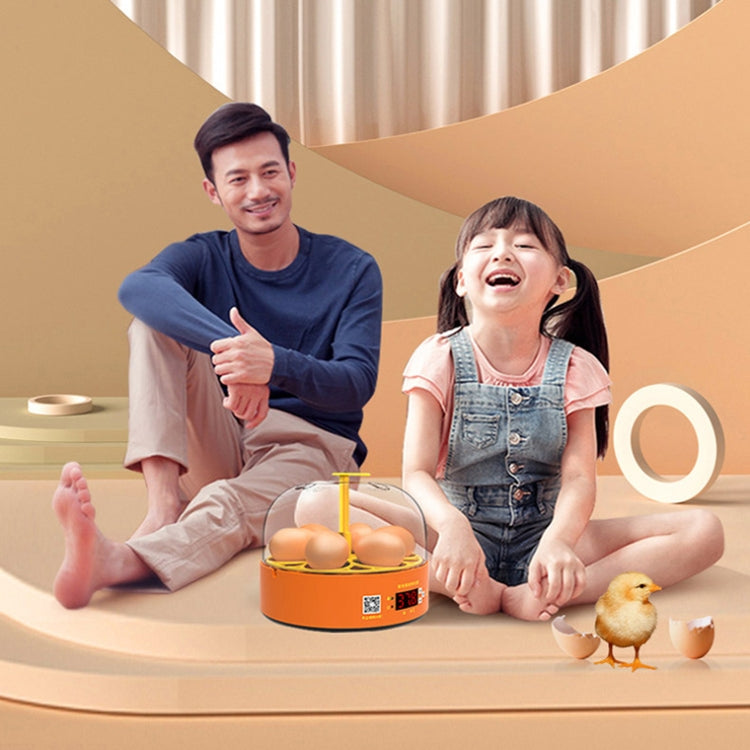 6-Eggs Small Household Experimental Children Smart Chicken Incubators, Spec: Manual AU Plug