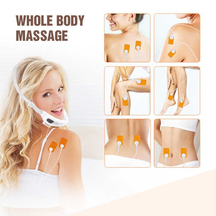 S1 EMS Microcurrent Colored Light Massage Beauty Instrument Remote Face Slimming Device(White)