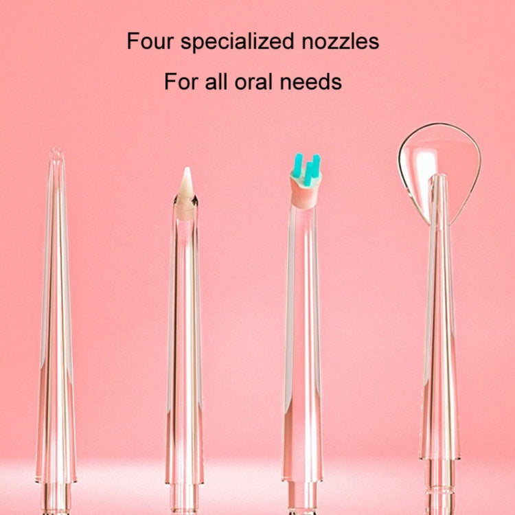Oral Irrigator Accessories Home Oral Cleaning Teeth Cleaner Nozzle, Style: Dental Plaque Nozzle
