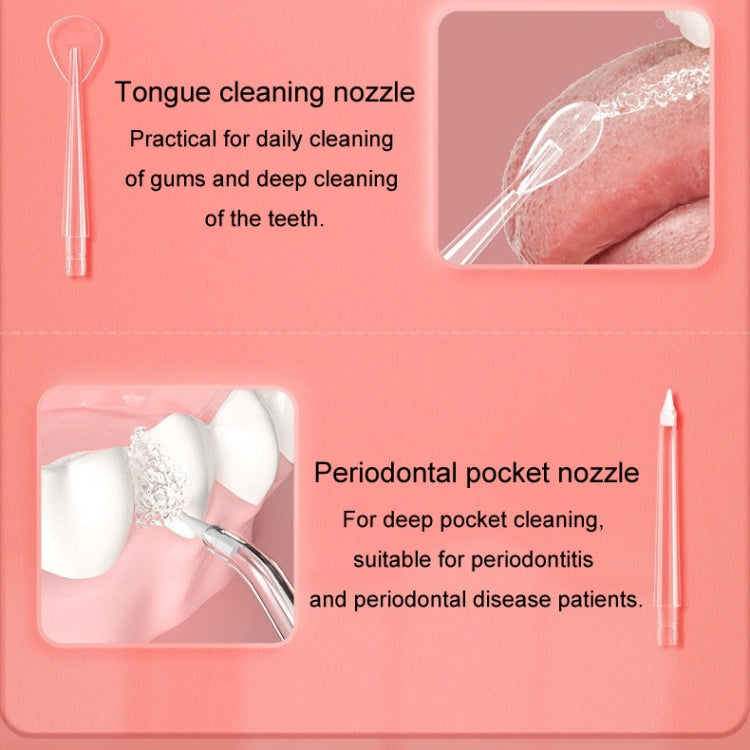 Oral Irrigator Accessories Home Oral Cleaning Teeth Cleaner Nozzle, Style: Standard Nozzle