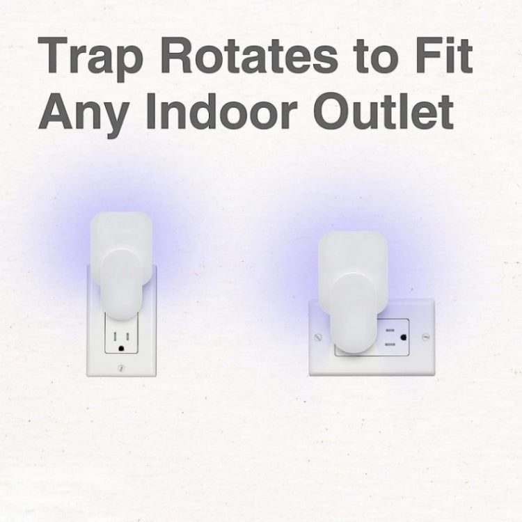 Plug-In Refillable Fly Trap For Flies, Moths, Gnats, And Other Flying Insects With 2 Glue Cards US Plug(White)