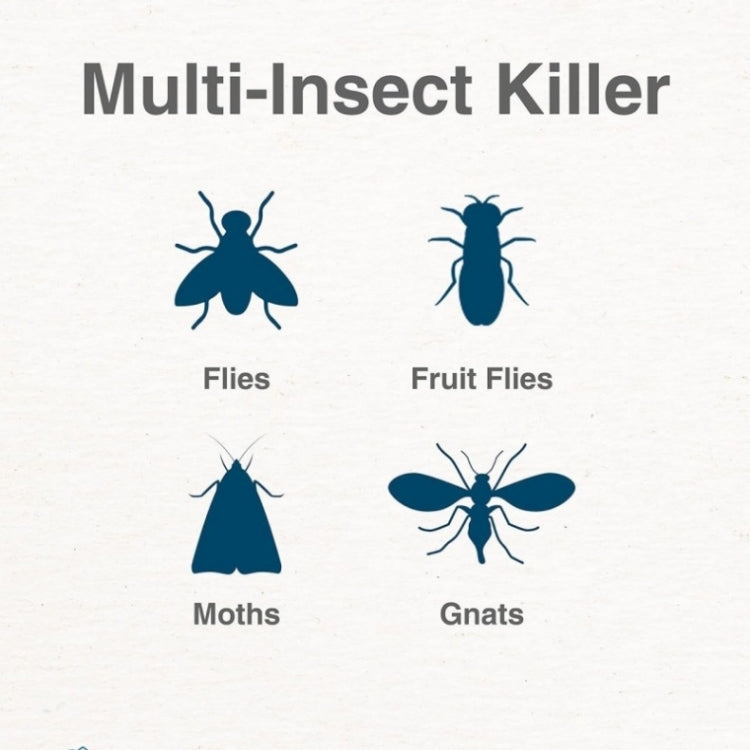 Plug-In Refillable Fly Trap For Flies, Moths, Gnats, And Other Flying Insects With 2 Glue Cards US Plug(White)