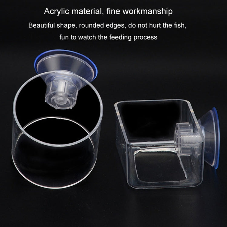 Acrylic Transparent Feeding Ring Fish Tank Feeder Floating Fixed Fish Feeder, Specification: Small Cylinder