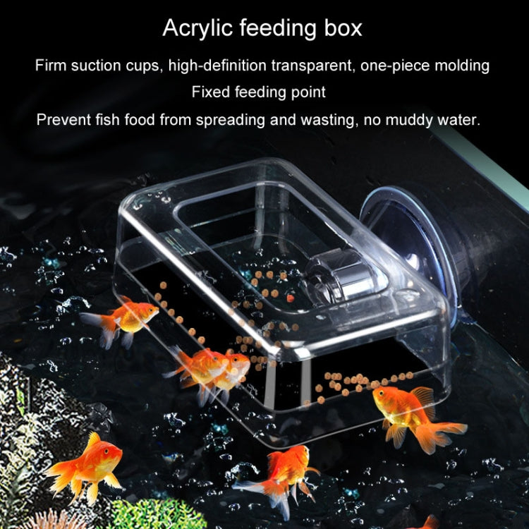 Acrylic Transparent Feeding Ring Fish Tank Feeder Floating Fixed Fish Feeder, Specification: Small Square