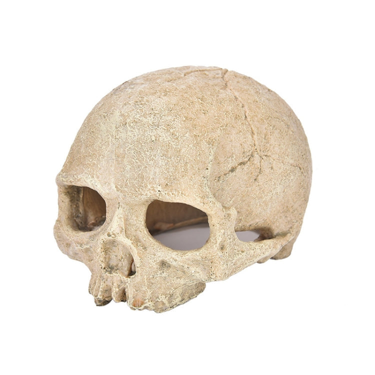 Fish Tank Aquarium Decoration Spider Lizard Snake Python Skull Breeding House Hiding Ornament(Bald Skull)