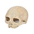 Fish Tank Aquarium Decoration Spider Lizard Snake Python Skull Breeding House Hiding Ornament(Bald Skull)