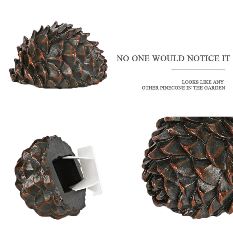 Simulated Stone Pine Nut Safe Key Box For Hiding Private Money, Shape: Stone