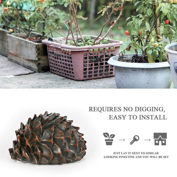 Simulated Stone Pine Nut Safe Key Box For Hiding Private Money, Shape: Stone