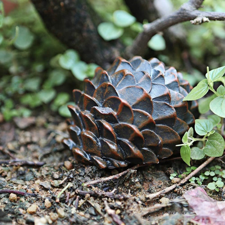 Simulated Stone Pine Nut Safe Key Box For Hiding Private Money, Shape: Stone