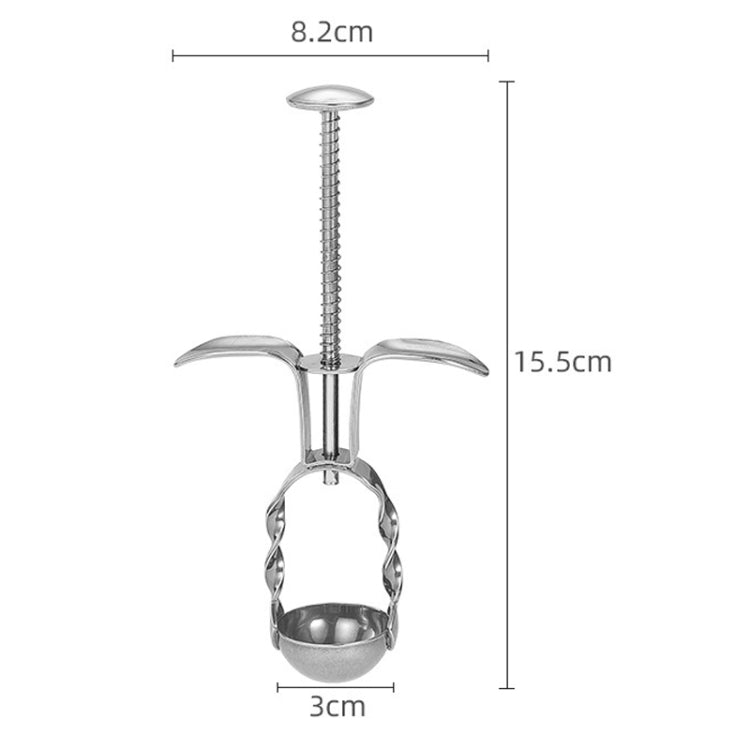 304 Stainless Steel Red Date Pitcher Kitchen Pitting Tool Household Cherry Corer