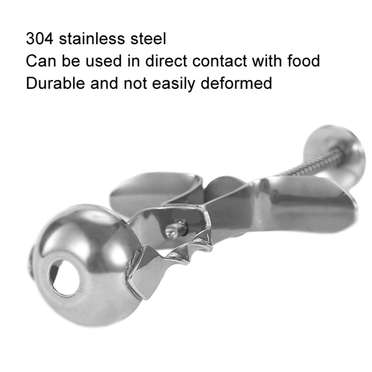 304 Stainless Steel Red Date Pitcher Kitchen Pitting Tool Household Cherry Corer