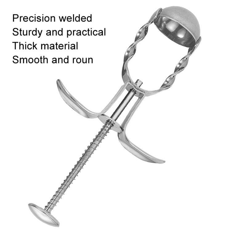 304 Stainless Steel Red Date Pitcher Kitchen Pitting Tool Household Cherry Corer