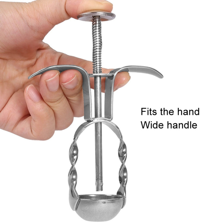304 Stainless Steel Red Date Pitcher Kitchen Pitting Tool Household Cherry Corer