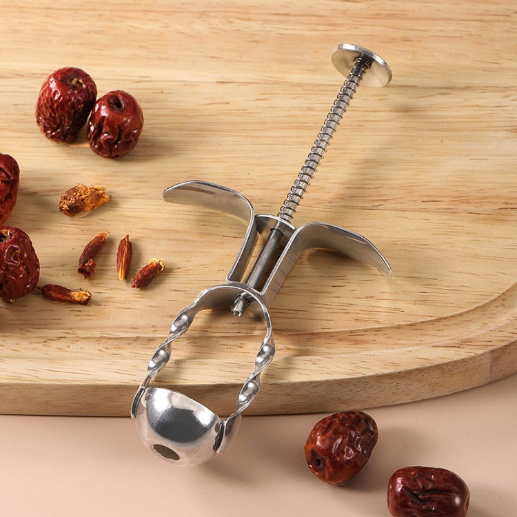304 Stainless Steel Red Date Pitcher Kitchen Pitting Tool Household Cherry Corer
