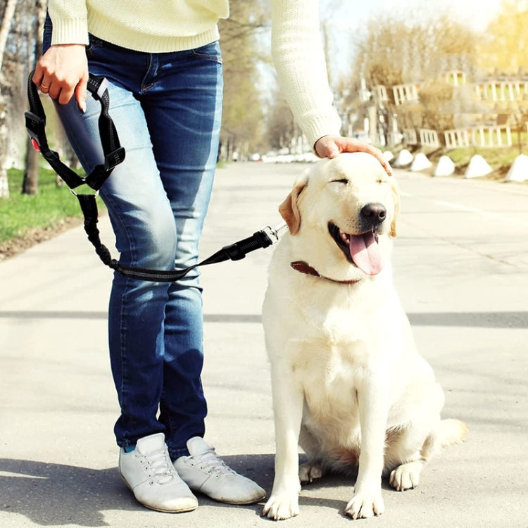 Dog Vehicle Seat Belt Rope Elastic Cushioned Towing Leash, Width: 2.5cm(Gray)