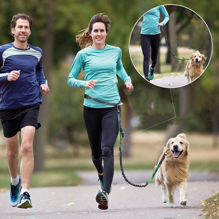 Pet Running Exercise Towing Leash Multifunctional Dog Walking Leashes(Black+Blue)