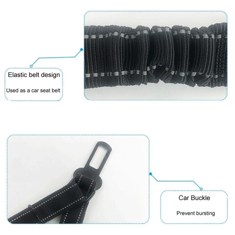 2.5 x 150cm Pet Vehicle Safety Leash Multifunctional Towing Belt Dog Leash(Black)