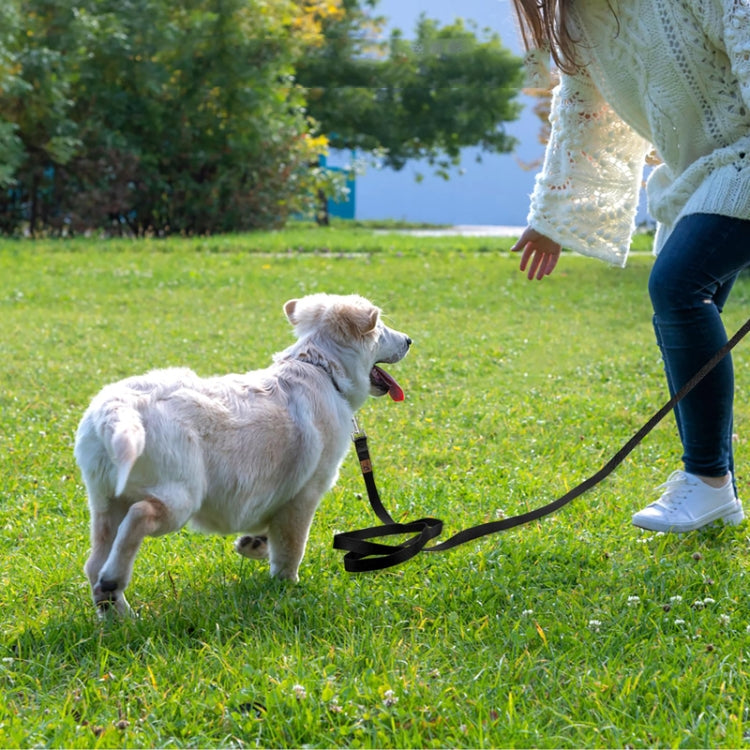 3m Pet Tracking Towing Leash Multifunctional Dog Walking Leashes(Black)