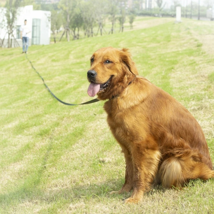 2.5cm x 15m Pet Tracking Dog Collar Leash Dog Training Lengthened Traction Leash(Black)