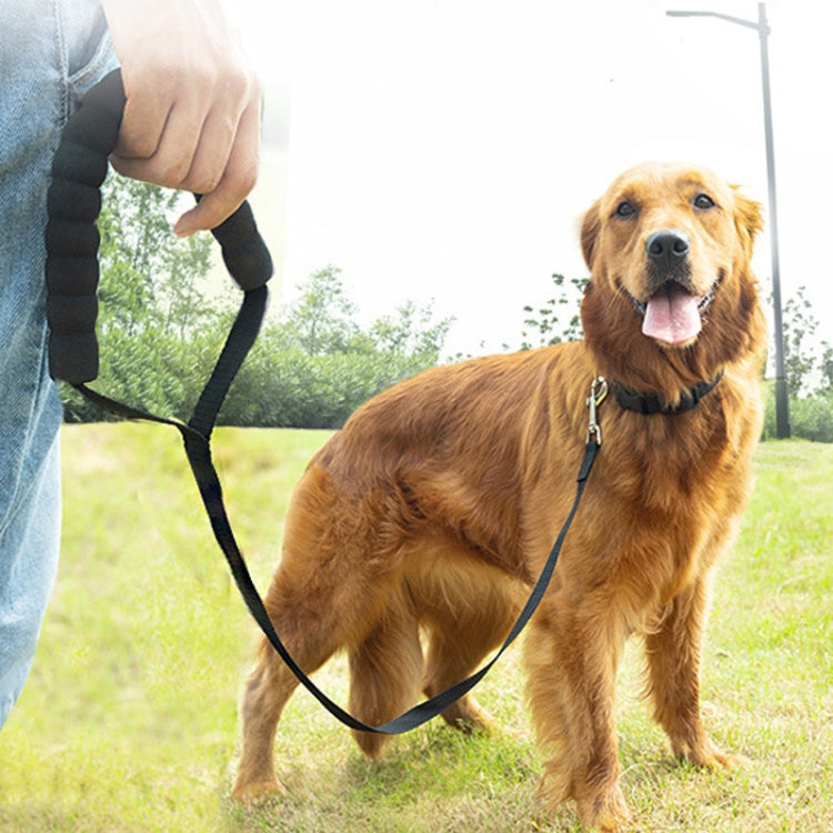 2.5cm x 10m Pet Tracking Dog Collar Leash Dog Training Lengthened Traction Leash(Black)