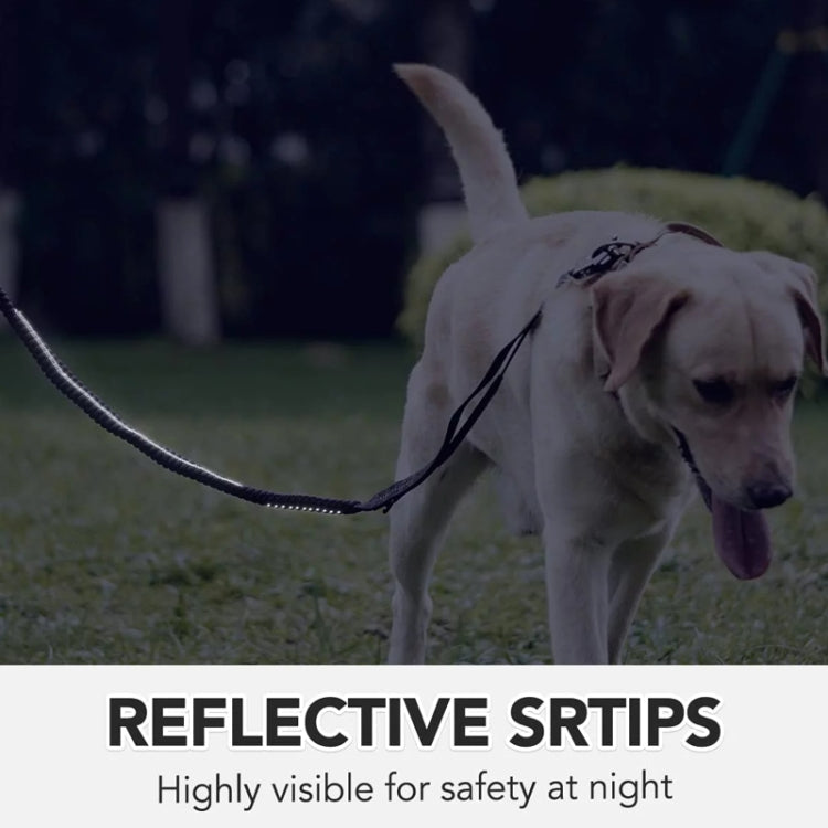 Heavy Duty Bungee Dog Leash Reflective Shock Absorbing Leashes for Medium Large Dogs(Khaki)