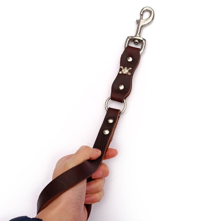 Leather Dog Leash Pet Tow Rope Chain, Style: With Spring(Coffee)