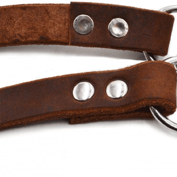 Half P Shape Pet Dog Collar Leather Dog Chain Collar, Size: XL(Coffee)
