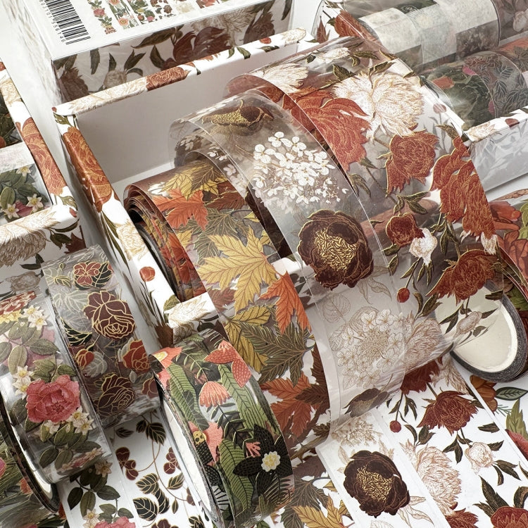 8rolls /Box  Ancient Style Transparent PET Tape Set for Journaling 3cm x 2+2cm x 2+1.5cm x 4(Van Gogh)