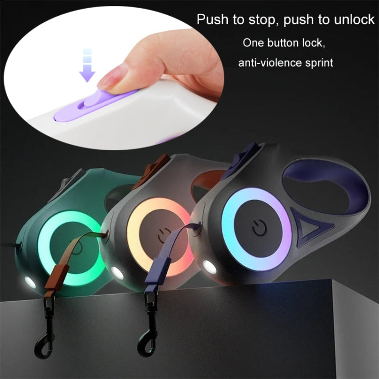 LED Light Luminous Pet Dog Leash Automatic Retractable Dog Walking Leash, Color: 3m Purple