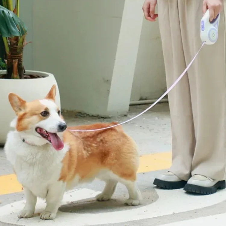 LED Light Luminous Pet Dog Leash Automatic Retractable Dog Walking Leash, Color: 5m Purple