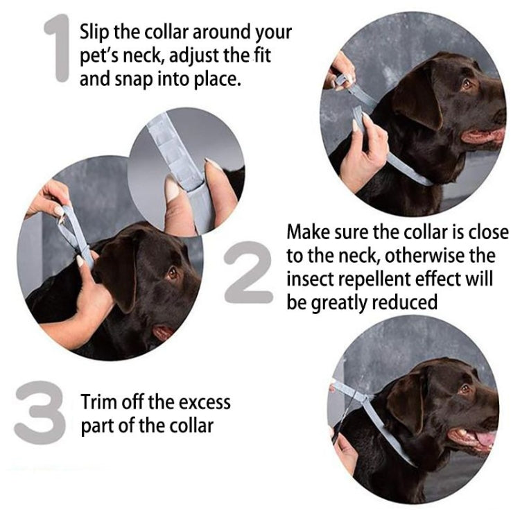 Flea and Tick Collar for Dogs Cats With Aluminum Case, Size: 38cm Blue