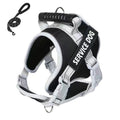 Large Dog Explosion Proof Punch Chest Harness Dog Travelling Leash, Style: Black+2m Round Rope(L)