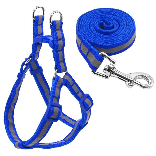 Small Medium Dogs Nylon Reflective Dog Leash Lead Set, Size:S(Blue)