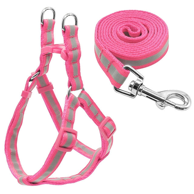 Small Medium Dogs Nylon Reflective Dog Leash Lead Set, Size:S(Pink)
