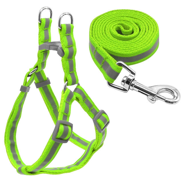 Small Medium Dogs Nylon Reflective Dog Leash Lead Set, Size:S(Green)