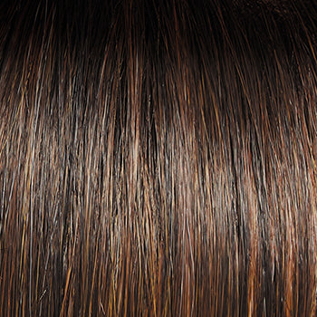 Raquel Welch Click, Click, Flash Wig, SS8/29 Shaded Hazelnut
