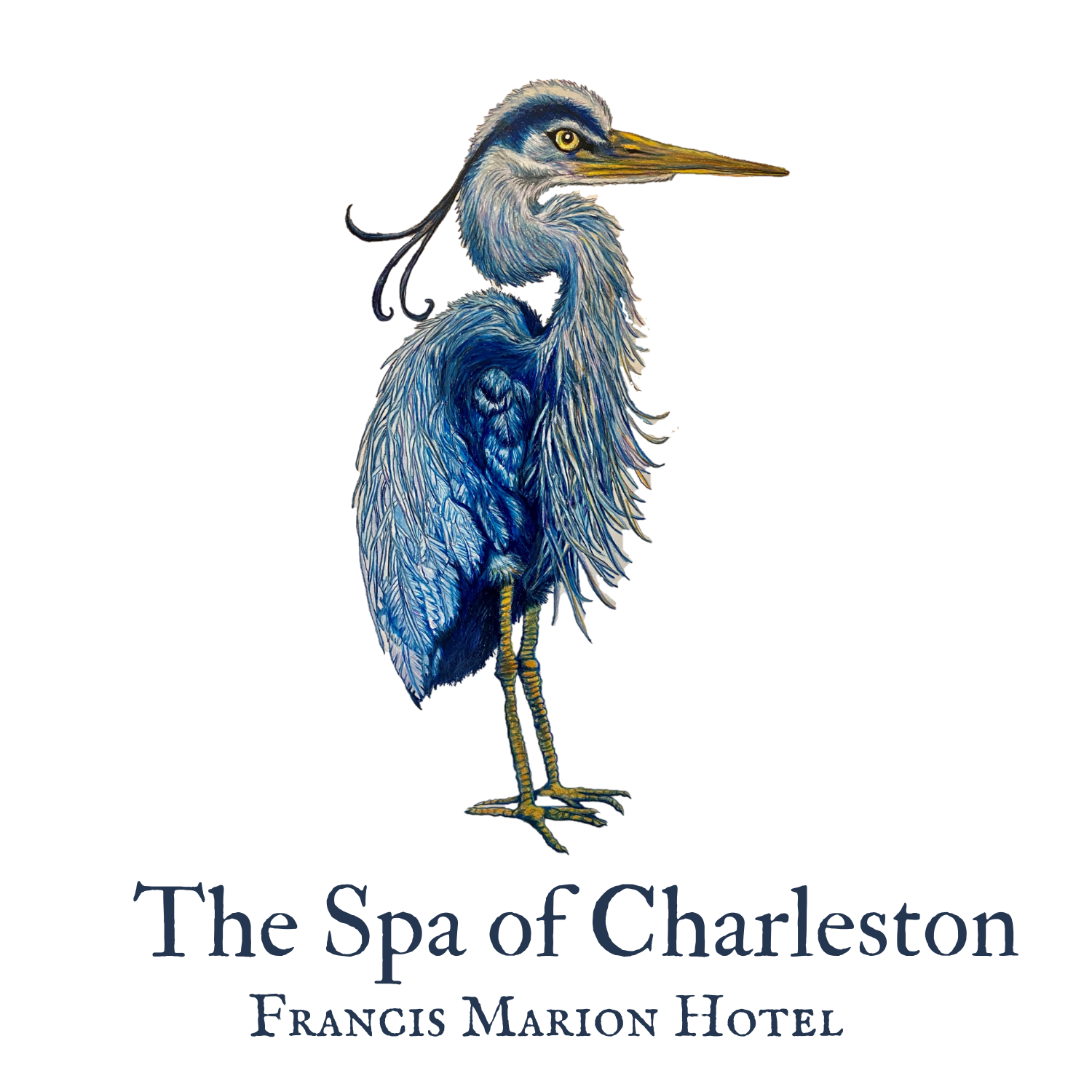 The Spa of Charleston