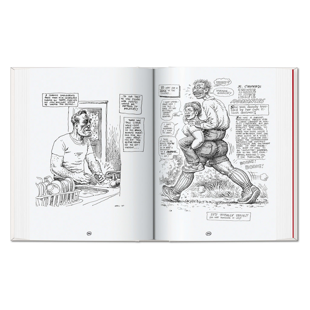 Robert Crumb. Sketchbook Vol. 4. 1982–1989 (English)
