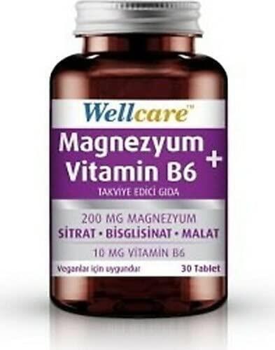 Wellcare Magnesium and Vitamin B6 Supplement - 30 Tablets | Supports Nervous System Health