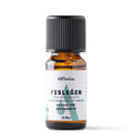 Alfheim Basil Essential Oil for Diffuser & DIY 10 ml