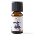 Alfheim Lavender Essential Oil for Aromatherapy 10 ml